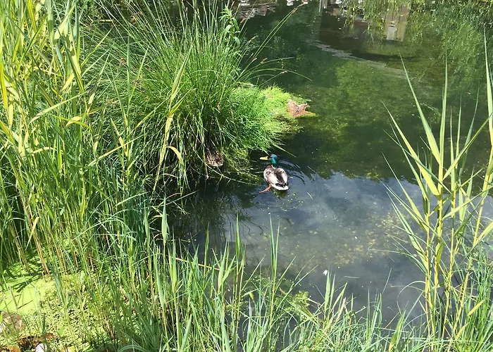 Διαμέρισμα Apartmenthaus Simmer *