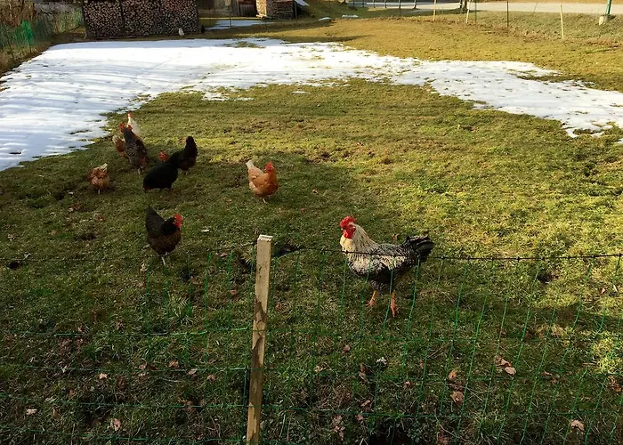 Apartmenthaus Simmer Διαμέρισμα Όμπερτραουν