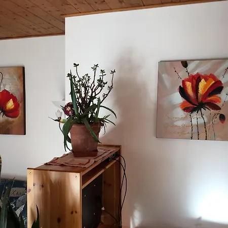 塞梅尔公寓 上特劳恩