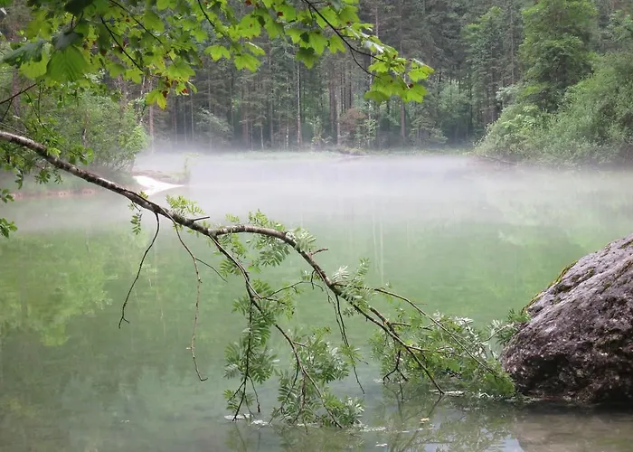 Apartment Apartmenthaus Simmer *